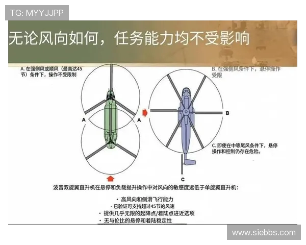 直升机旋翼系统的故障诊断算法