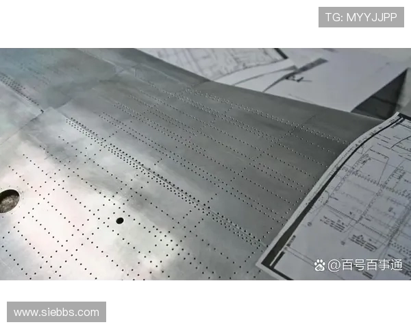 飞机机翼蒙皮的化学铣切加工工艺